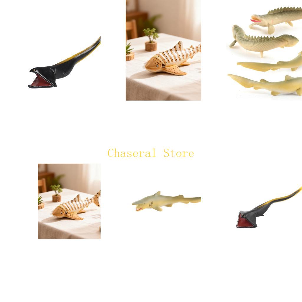 E7CE Realistic Fish Model for  - огляд і ціна Science Exhibition Models