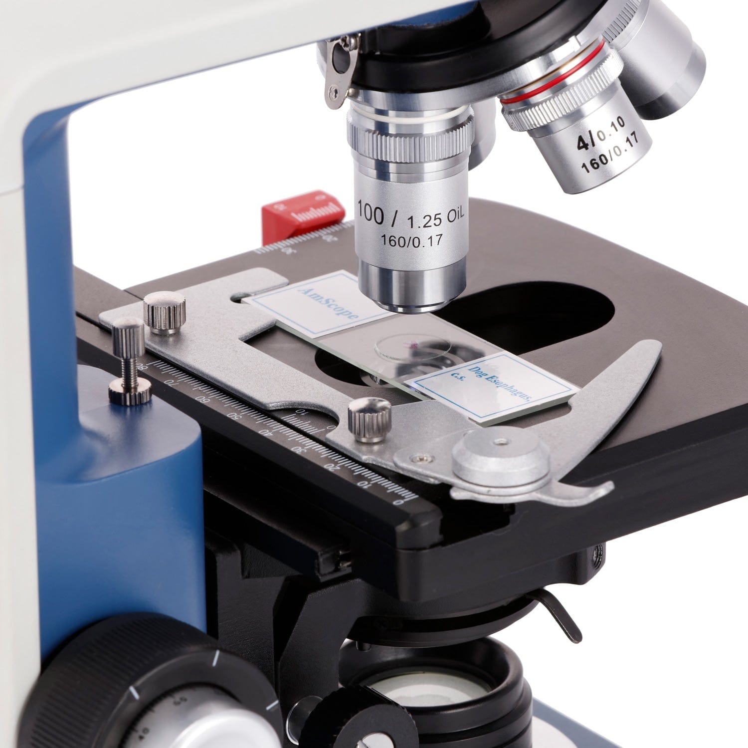 AmScope  40X-2500X Magnificati - огляд і ціна Microscope Compound 40X