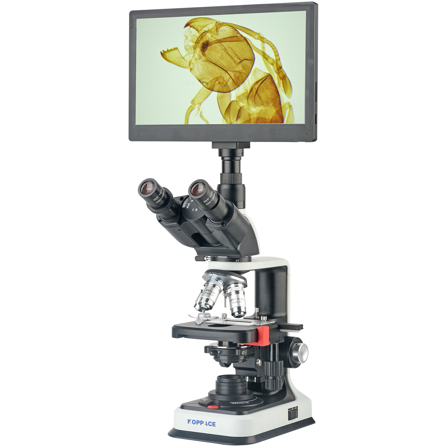 KOPPACE 40X-2500X Electron Com - огляд і ціна Microscope Compound 40X