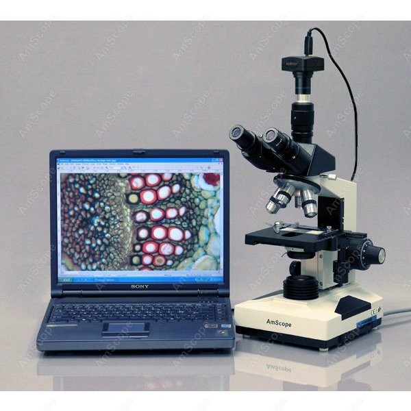 AmScope T490 Series Simul-Foca - огляд і ціна Microscope Compound 40X