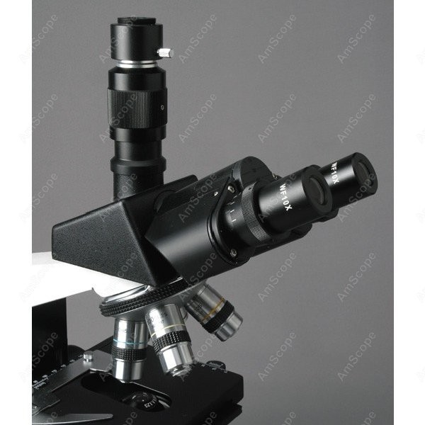 AmScope T490 Series Simul-Foca - огляд і ціна Microscope Compound 40X