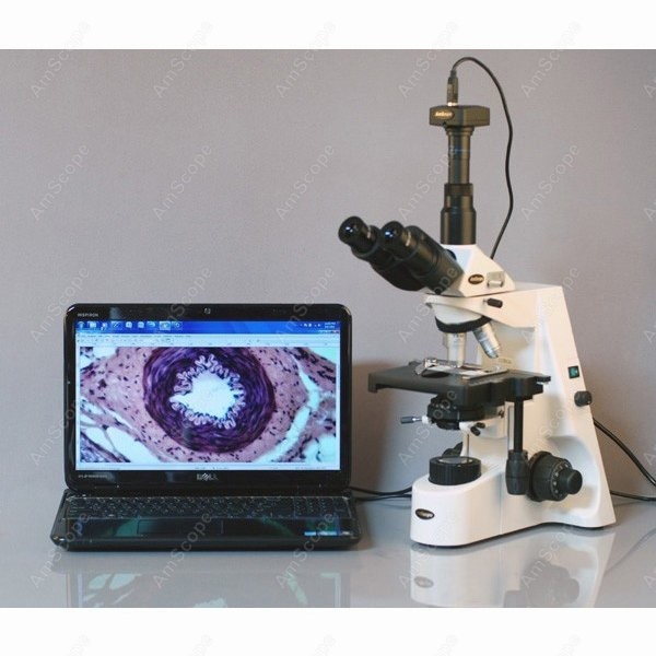 AmScope 40X-2500X Infinity Koh - огляд і ціна Microscope Compound 40X