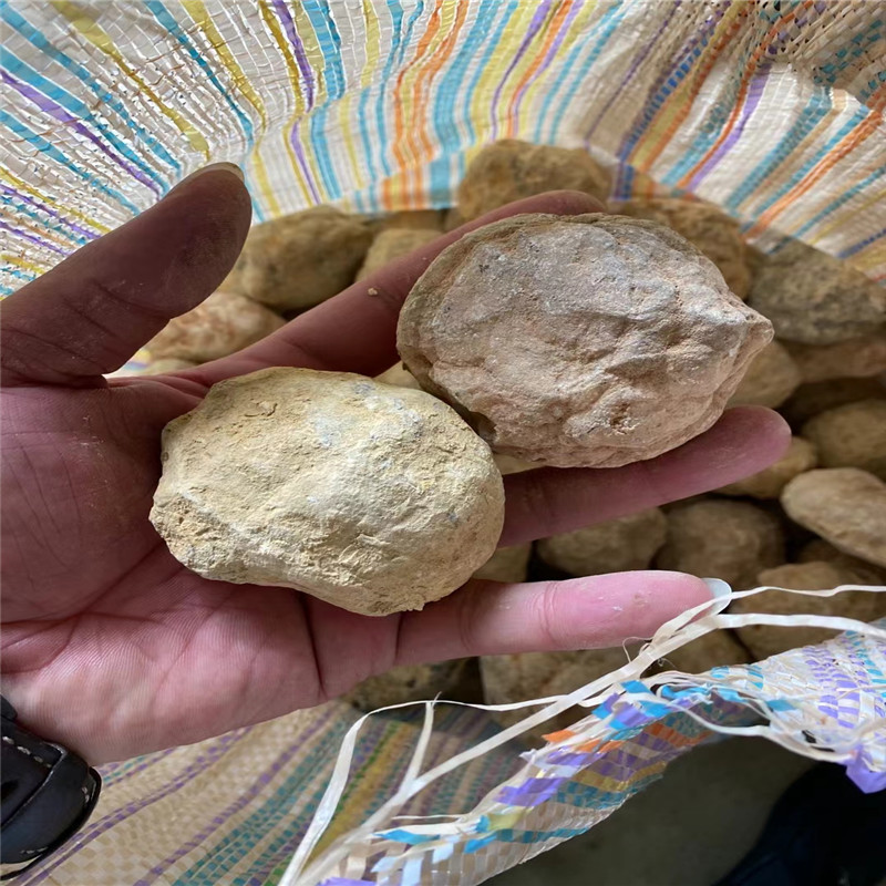 Break Your Own Geodes Natural  - огляд і ціна Geode Crystal Break
