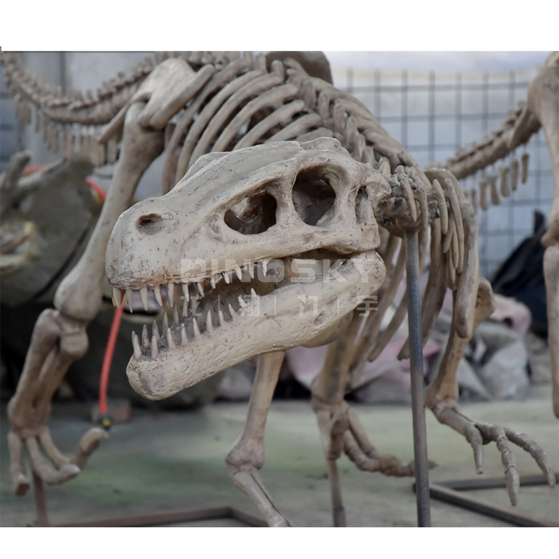 ATV&UTVResin Raptor Skeleton F - огляд і ціна Science Exhibition Models